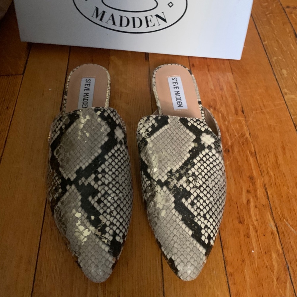 Snake skin Steve Madden slides